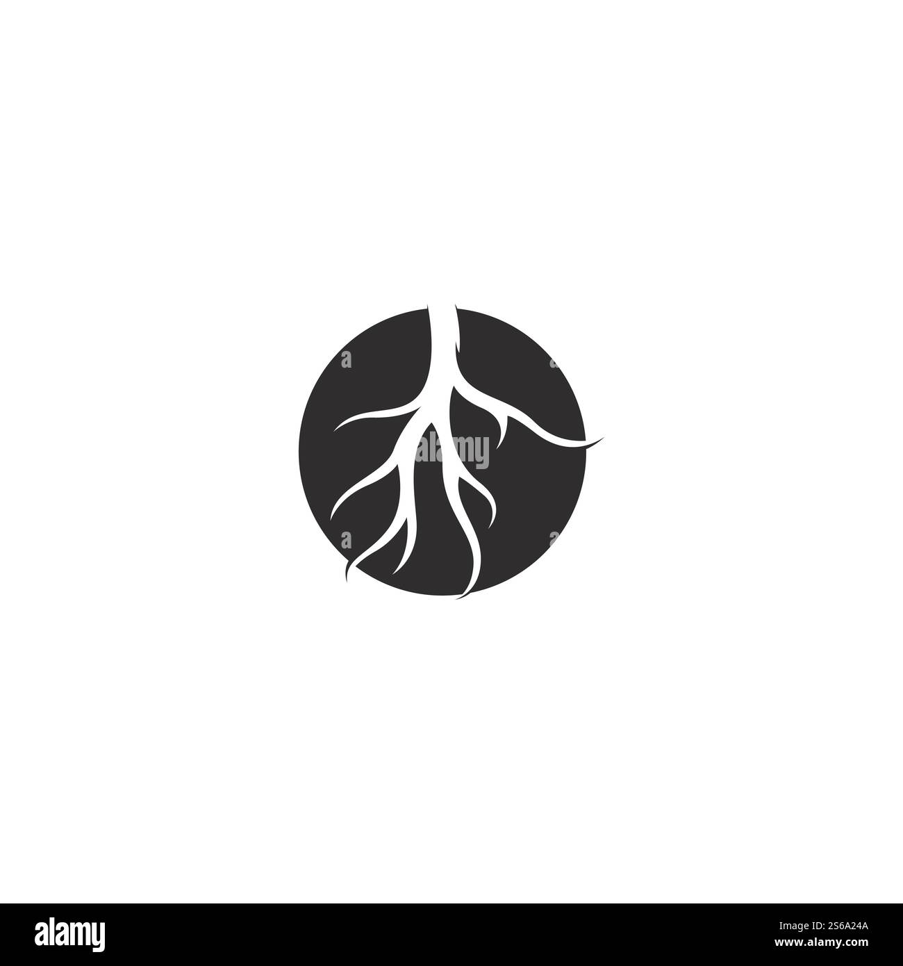 Modèle d'illustration de vecteur racine Illustration de Vecteur