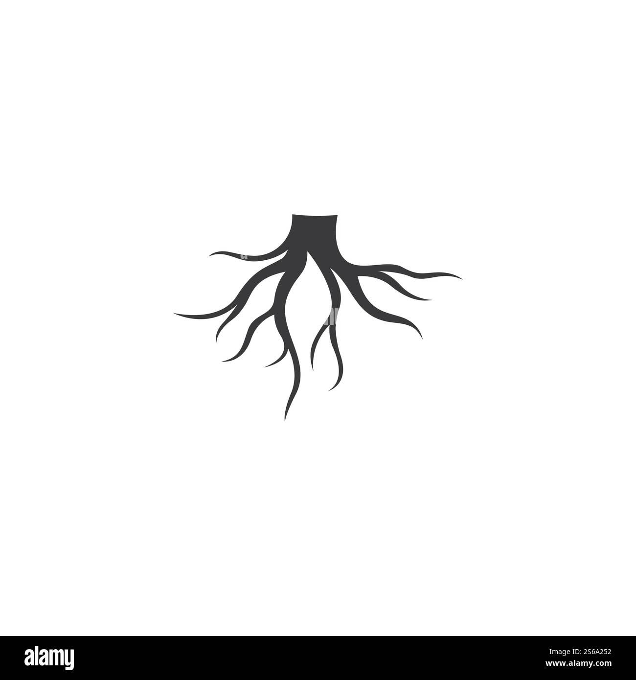 Modèle d'illustration de vecteur racine Illustration de Vecteur