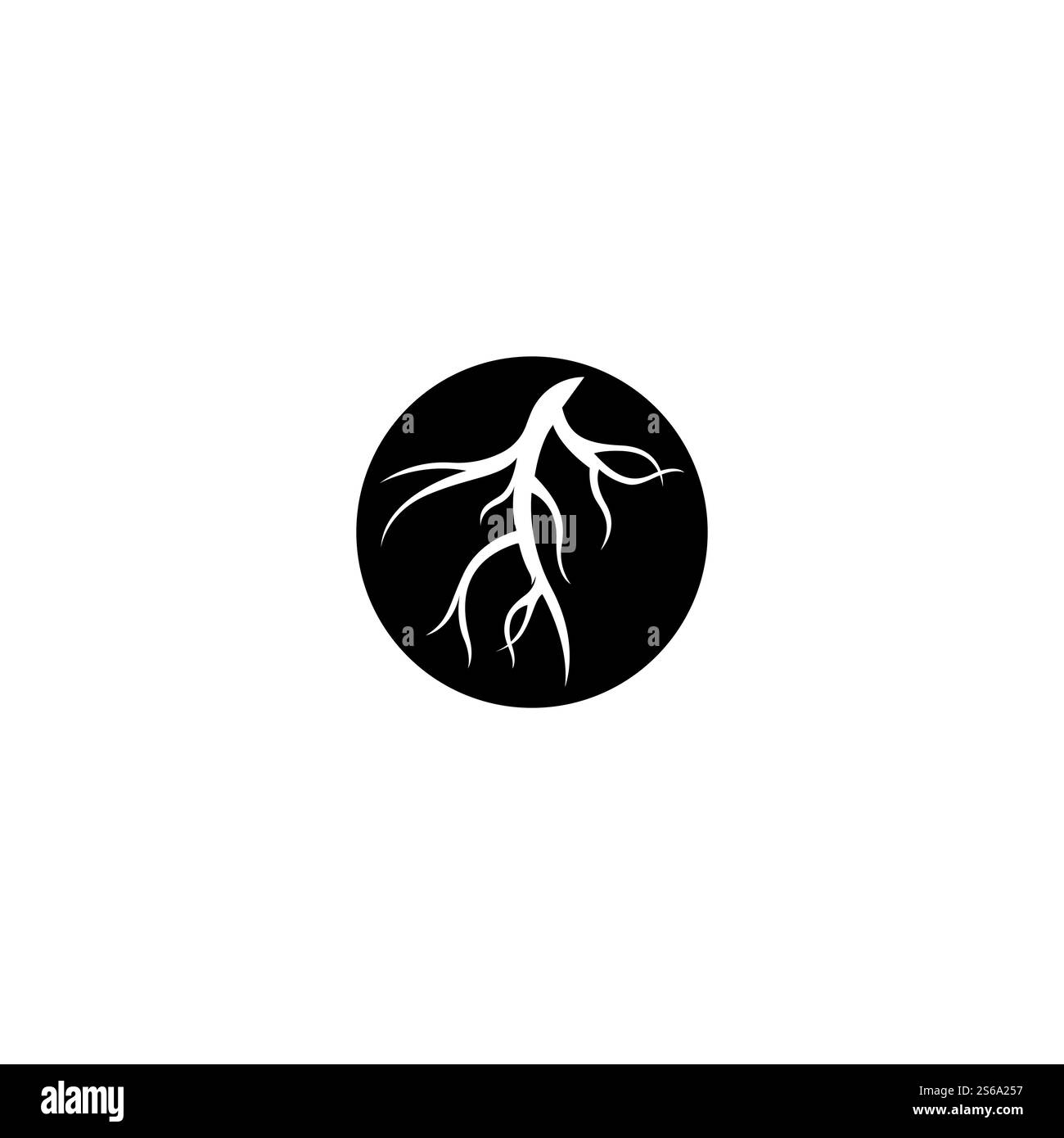 Modèle d'illustration de vecteur racine Illustration de Vecteur