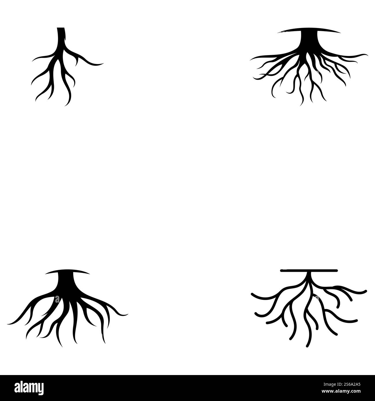 Modèle d'illustration de vecteur racine Illustration de Vecteur