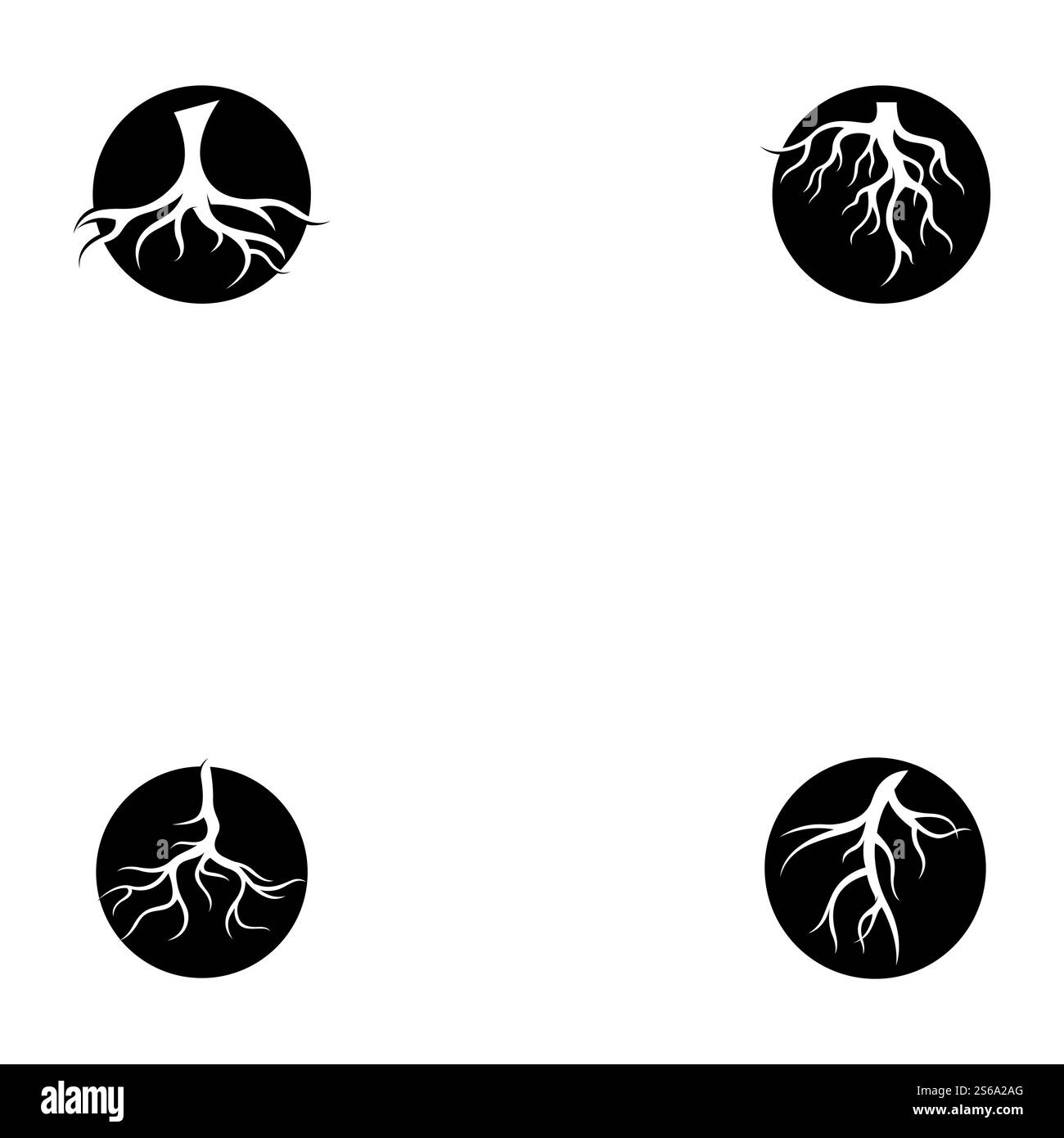 Modèle d'illustration de vecteur racine Illustration de Vecteur