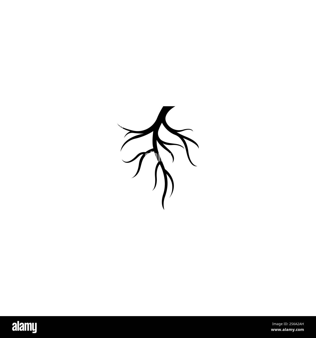 Modèle d'illustration de vecteur racine Illustration de Vecteur