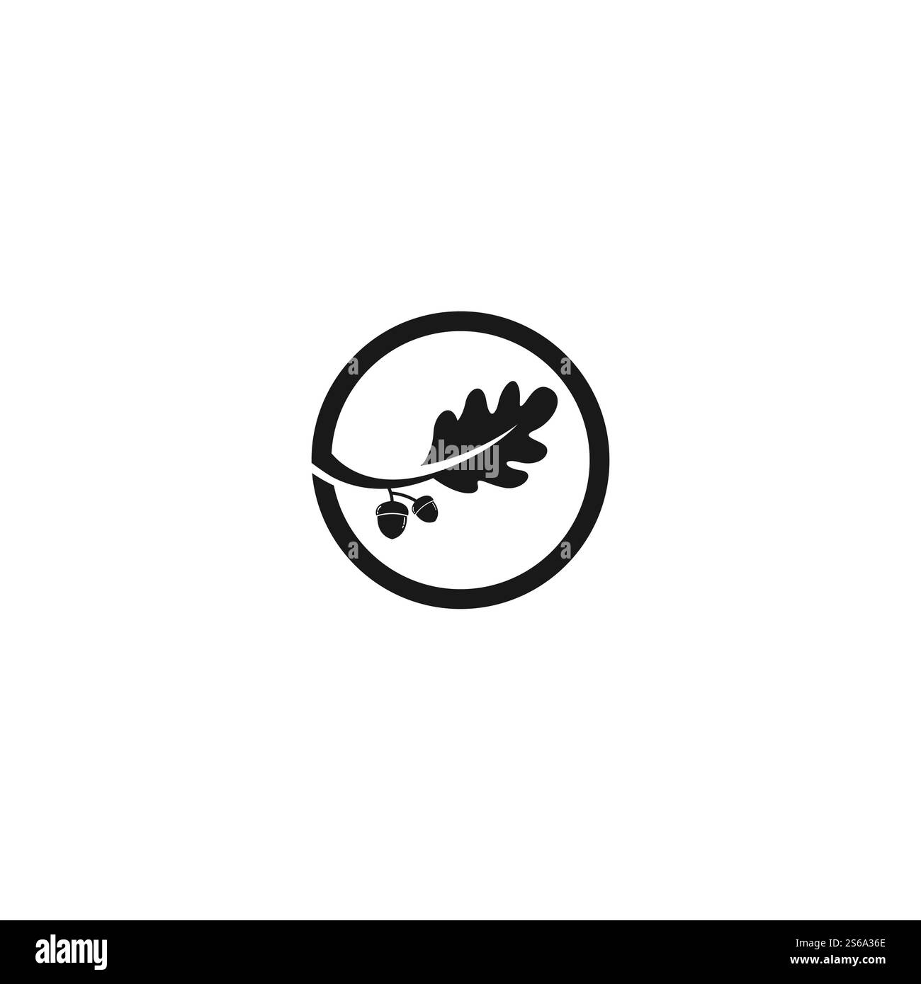 modèle de dessin d'illustration de vecteur de chêne gland Illustration de Vecteur