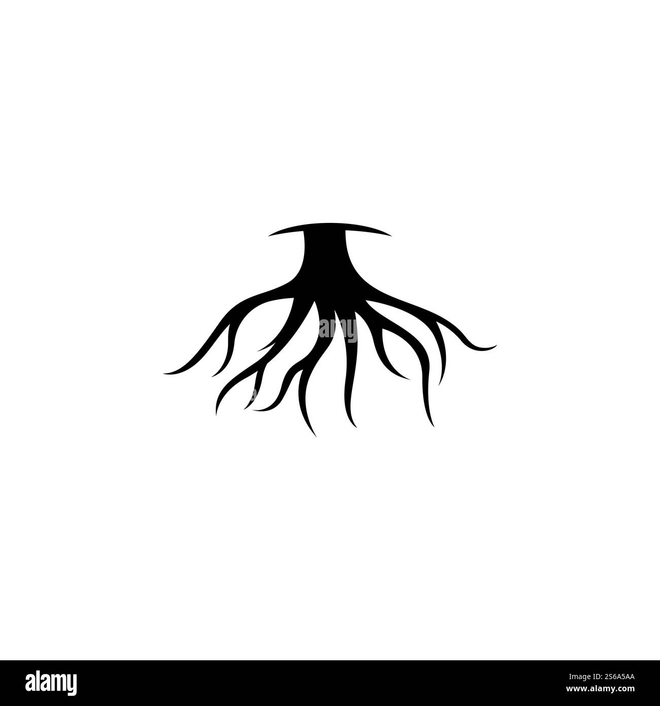 Modèle d'illustration de vecteur racine Illustration de Vecteur