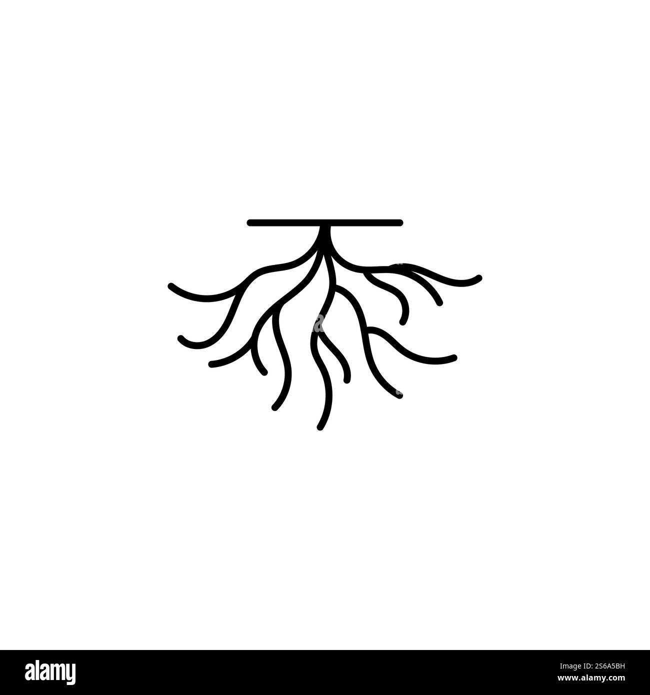 Modèle d'illustration de vecteur racine Illustration de Vecteur