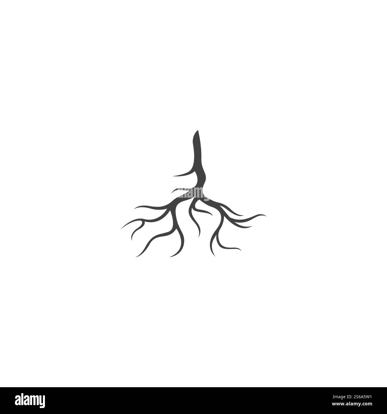 Modèle d'illustration de vecteur racine Illustration de Vecteur