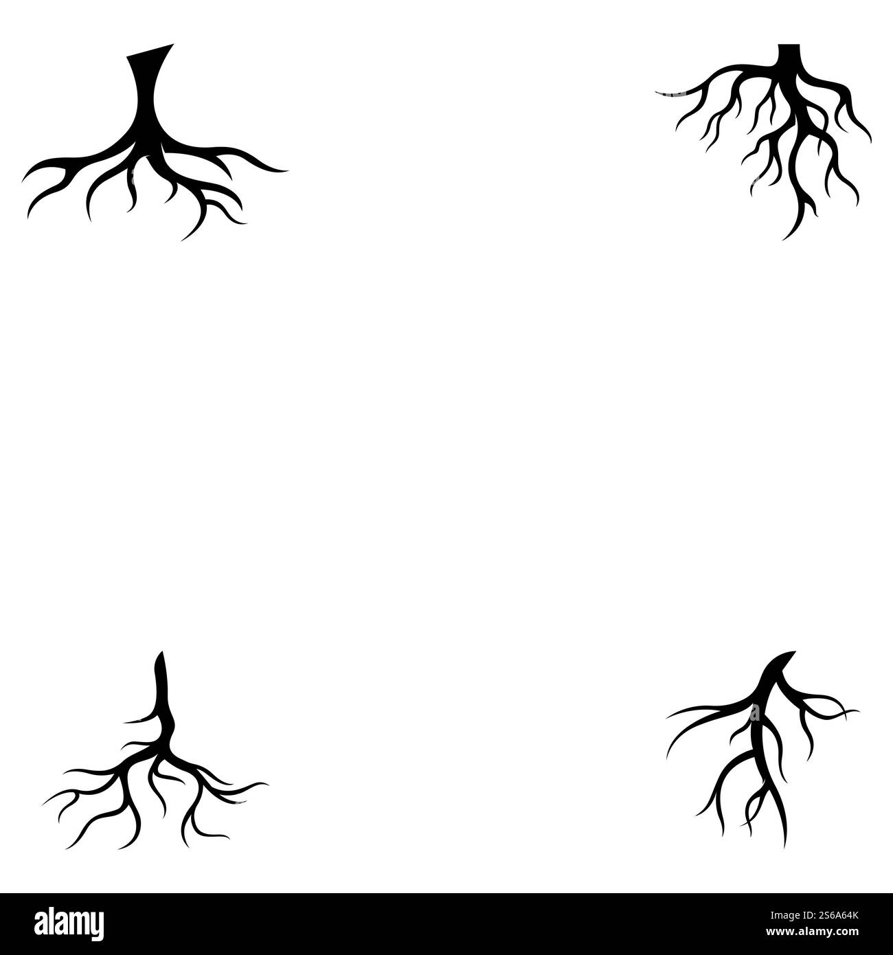 Modèle d'illustration de vecteur racine Illustration de Vecteur