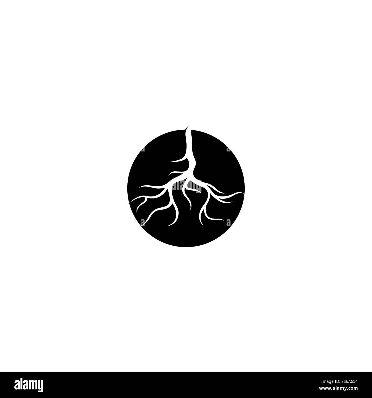 Modèle d'illustration de vecteur racine Illustration de Vecteur