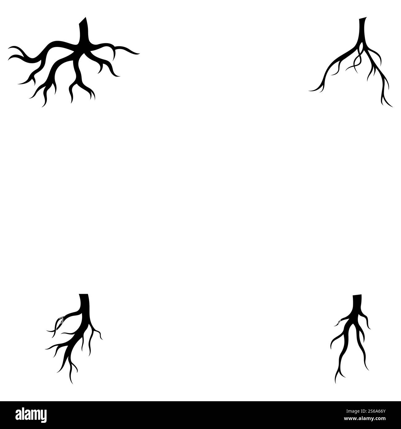 Modèle d'illustration de vecteur racine Illustration de Vecteur