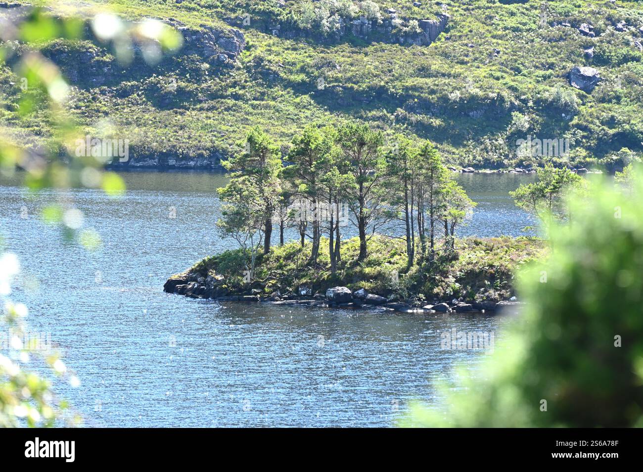 Petit istand dans un loch, inverpolly réserve naturelle Assynt, Highlands écossais juillet Banque D'Images