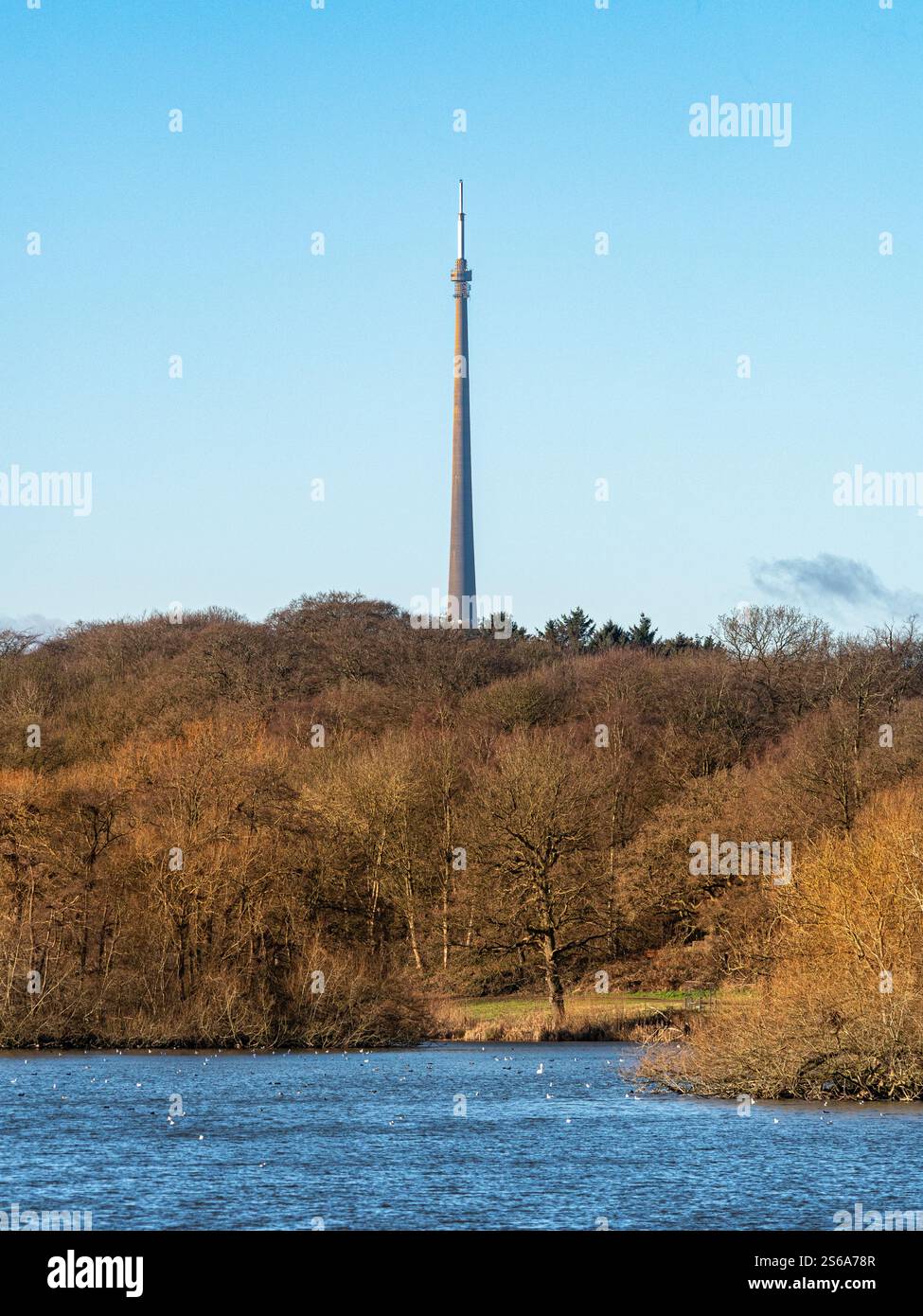 Emley Moor Mast vu du lac au Yorkshire sculpture Park. West Yorkshire, Royaume-Uni Banque D'Images