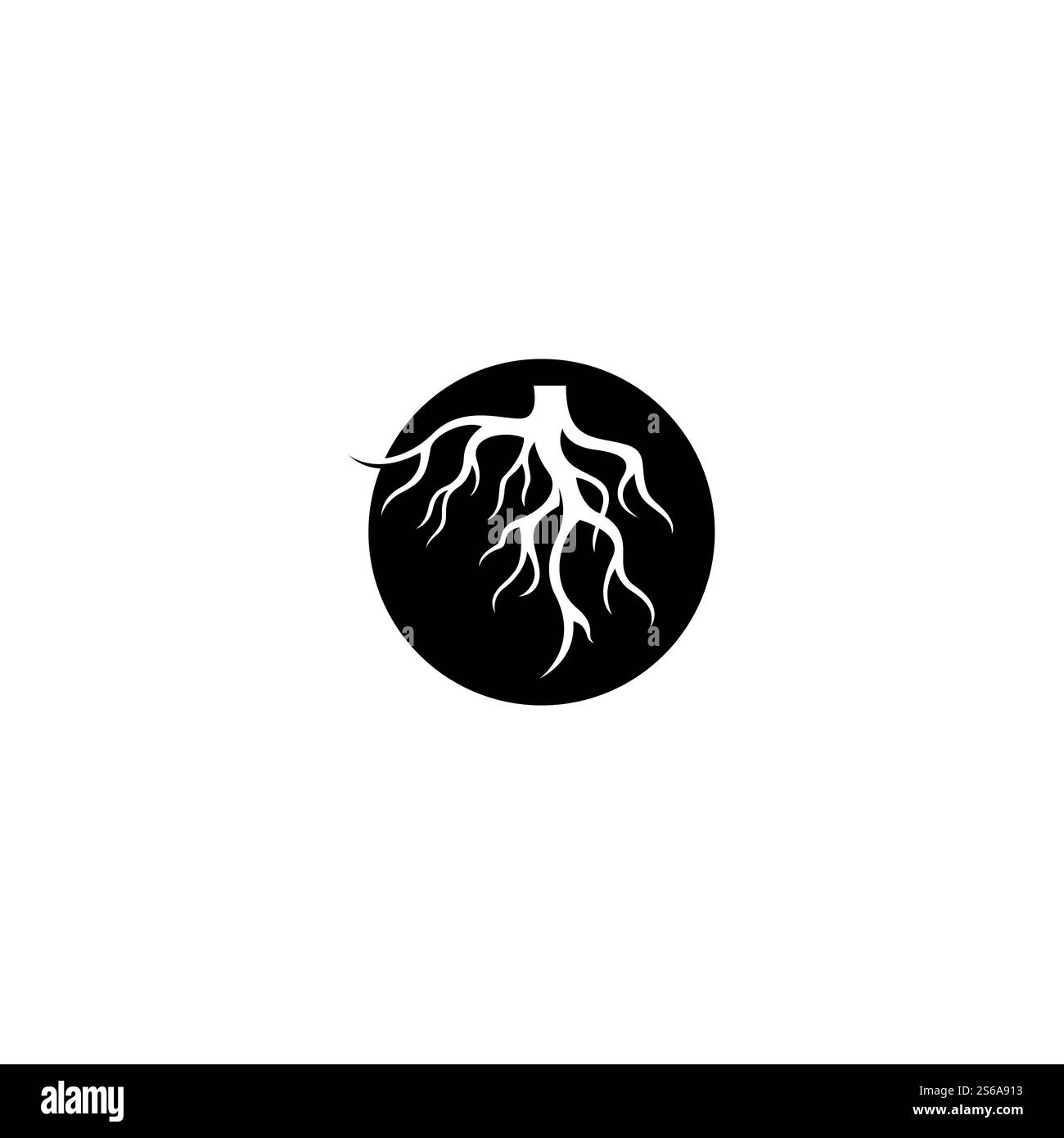 Modèle d'illustration de vecteur racine Illustration de Vecteur