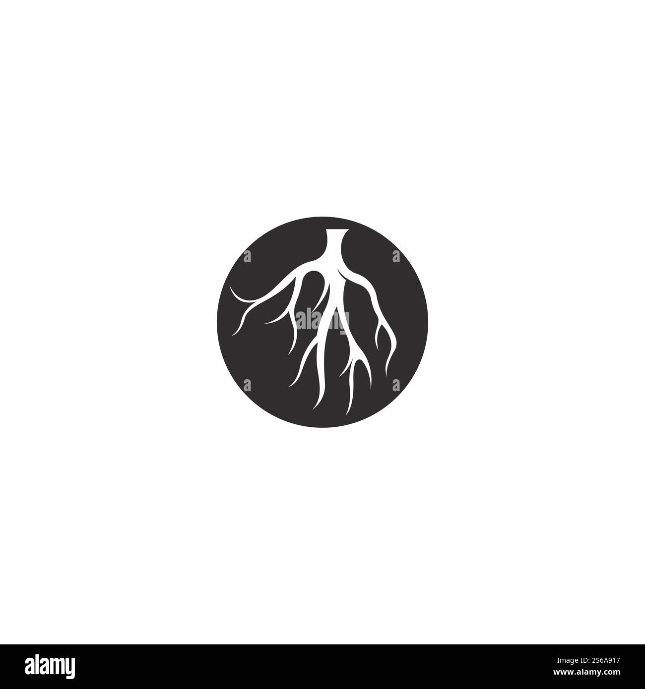 Modèle d'illustration de vecteur racine Illustration de Vecteur