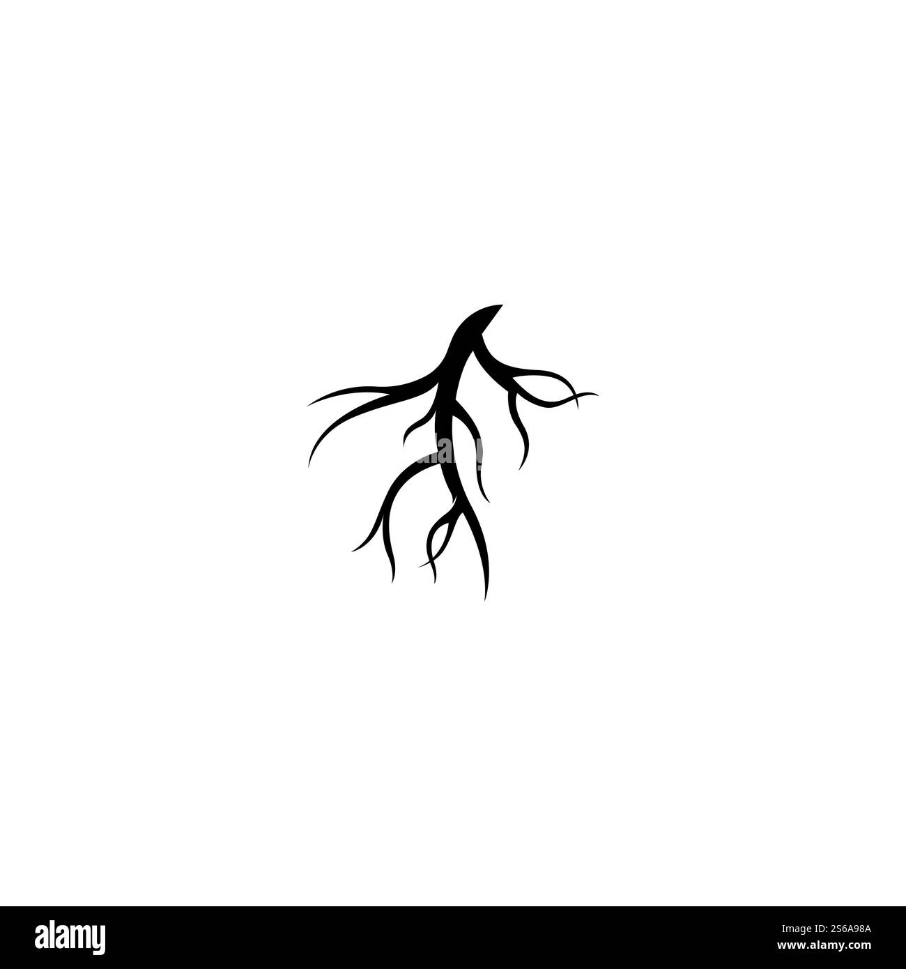 Modèle d'illustration de vecteur racine Illustration de Vecteur