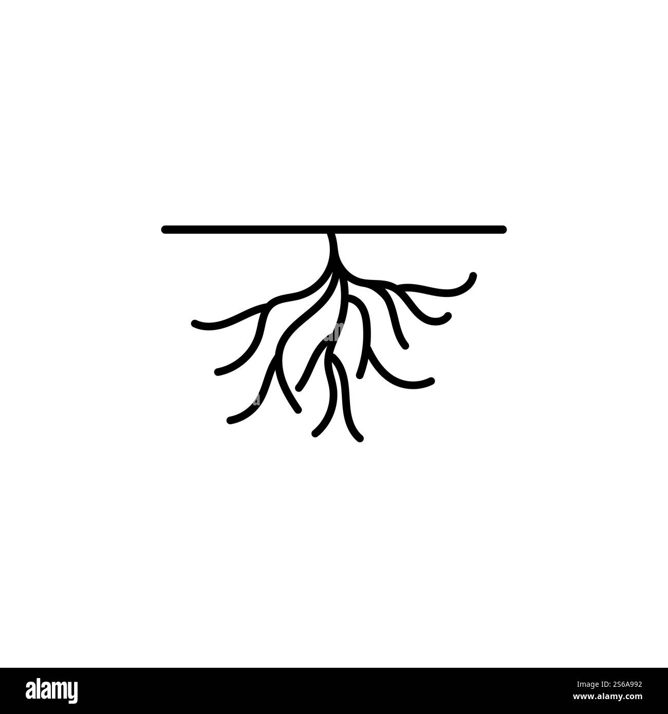 Modèle d'illustration de vecteur racine Illustration de Vecteur