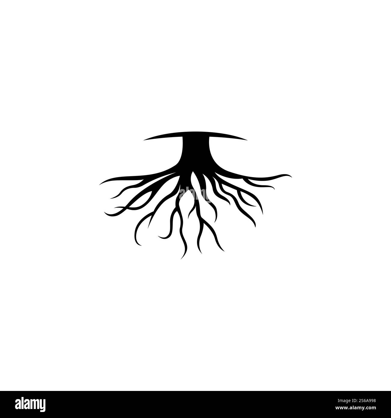 Modèle d'illustration de vecteur racine Illustration de Vecteur
