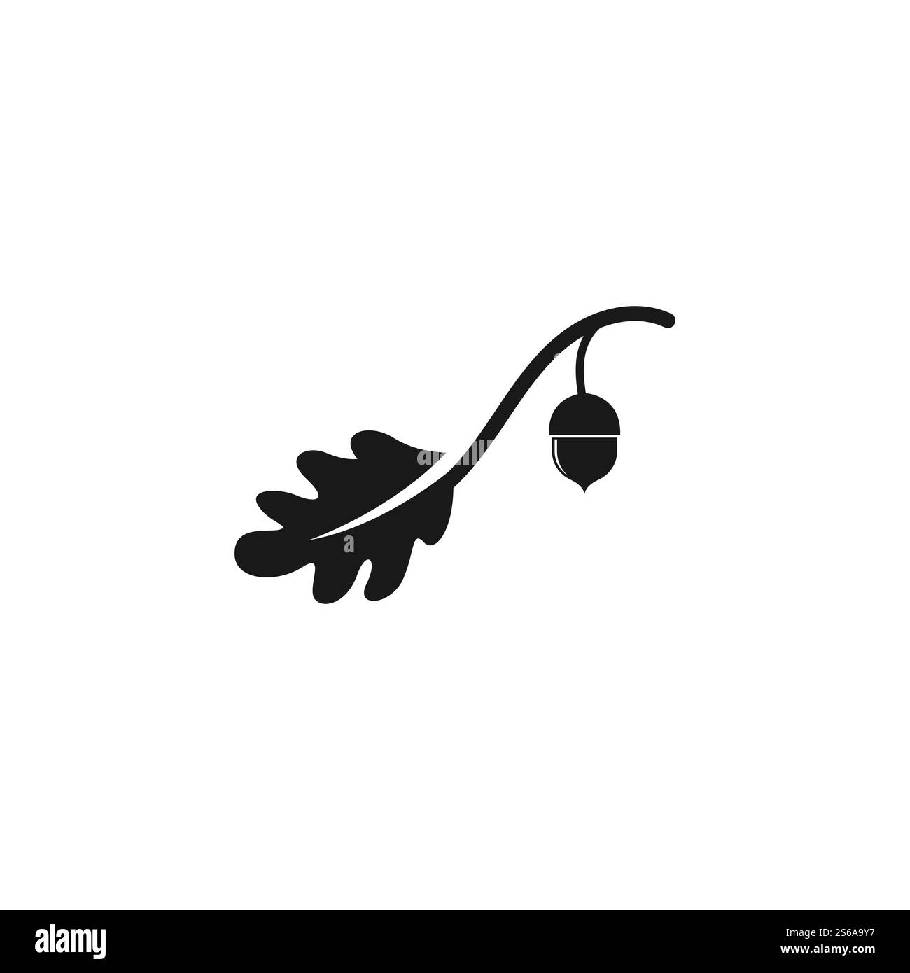 modèle de dessin d'illustration de vecteur de chêne gland Illustration de Vecteur