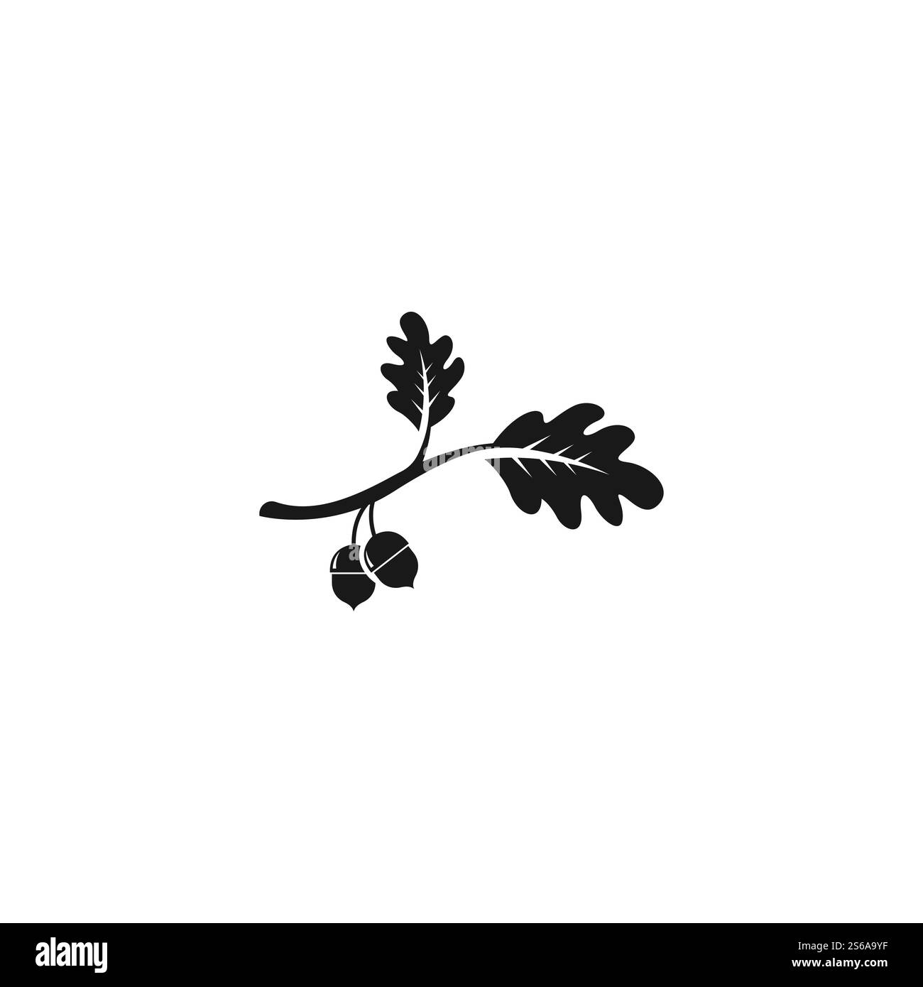 modèle de dessin d'illustration de vecteur de chêne gland Illustration de Vecteur