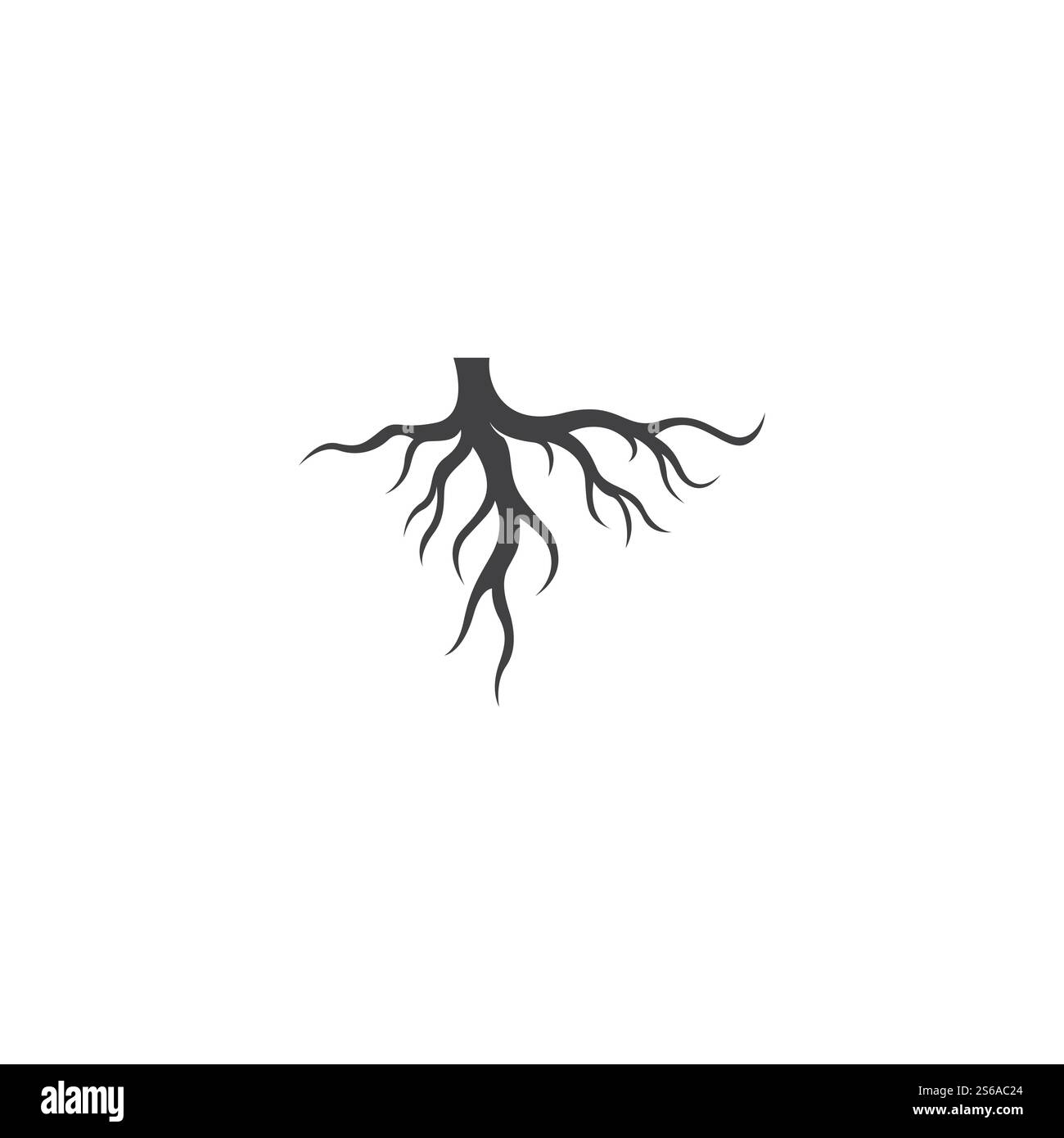 Modèle d'illustration de vecteur racine Illustration de Vecteur