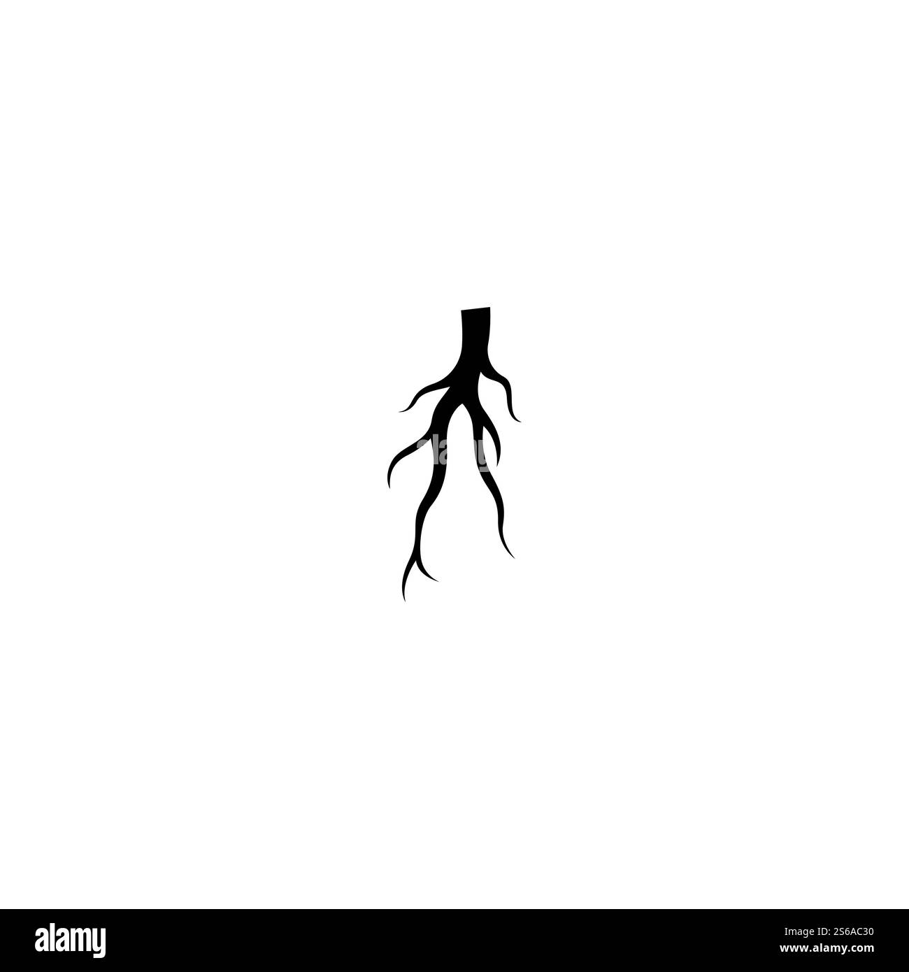 Modèle d'illustration de vecteur racine Illustration de Vecteur