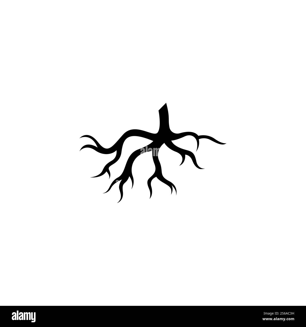 Modèle d'illustration de vecteur racine Illustration de Vecteur