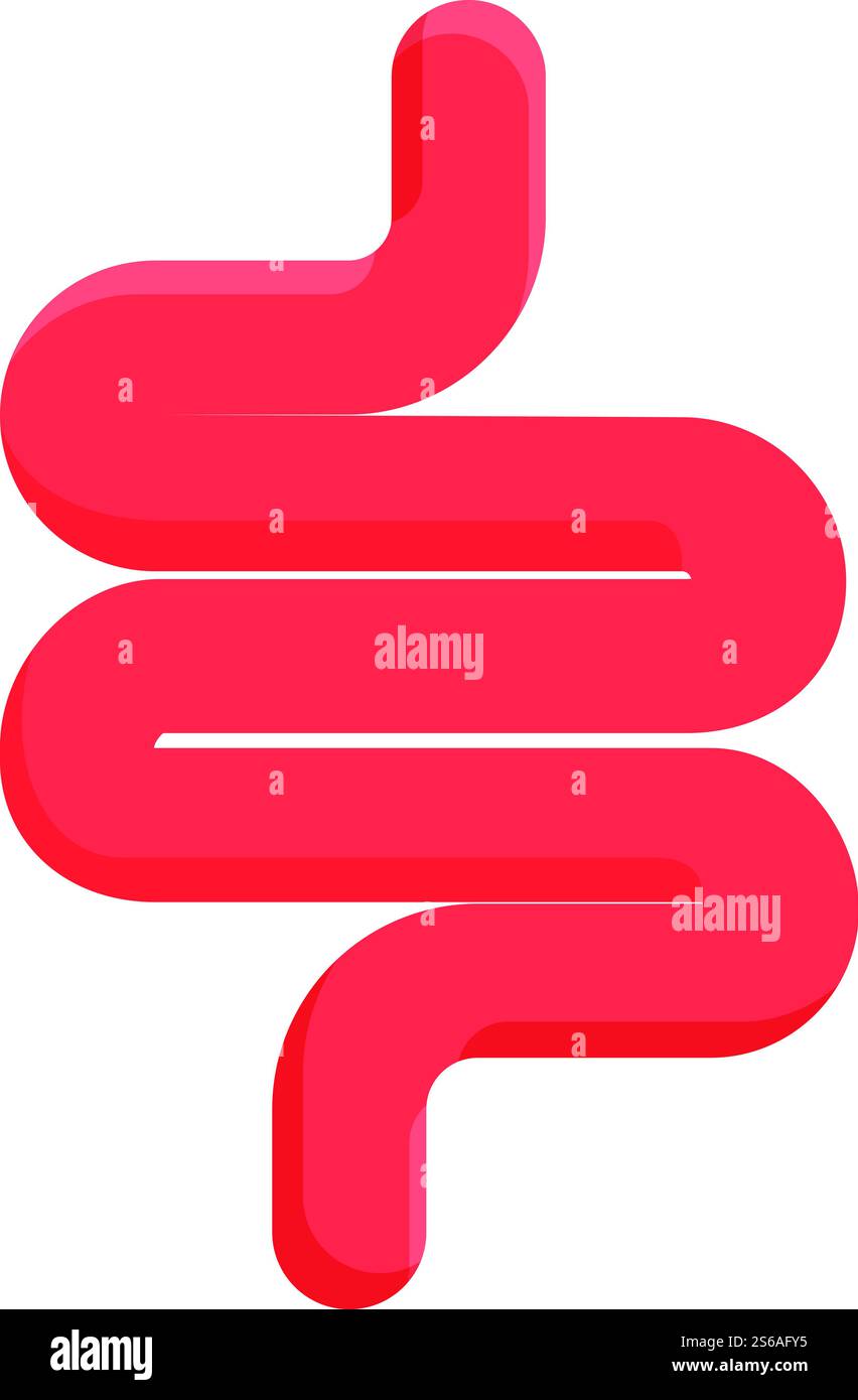 Icône digestion. Dessin animé de l'icône de vecteur de digestion pour la conception Web isolé sur fond blanc. Icône de digestion, style de dessin animé Illustration de Vecteur