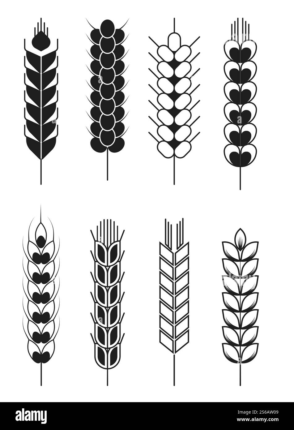 Céréales blé et orge seigle et épis de mil isolés objets monochromes plantes de champ vecteur farine ingrédient production de pain graines sèches, sur tige mûre produits biologiques agriculture et agriculture. Eléments isolés de blé et de seigle d'orge et de céréales de millet Illustration de Vecteur