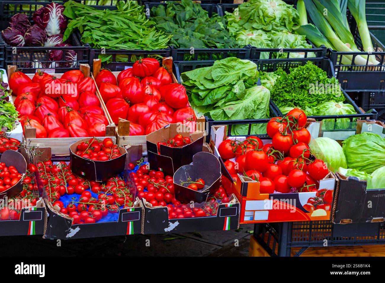 Tomates rouges biologiques fraîches à l'extérieur sur un étal de marché Banque D'Images