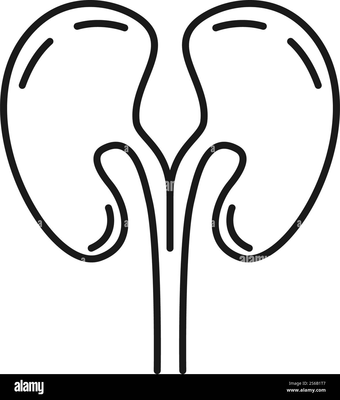Conception vectorielle d'icône d'illustration de rein Illustration de Vecteur