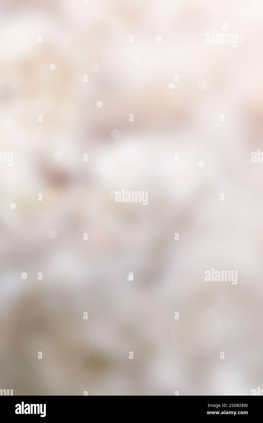 Fond flou abstrait avec des points bokeh dégradé marron et blanc doux Banque D'Images