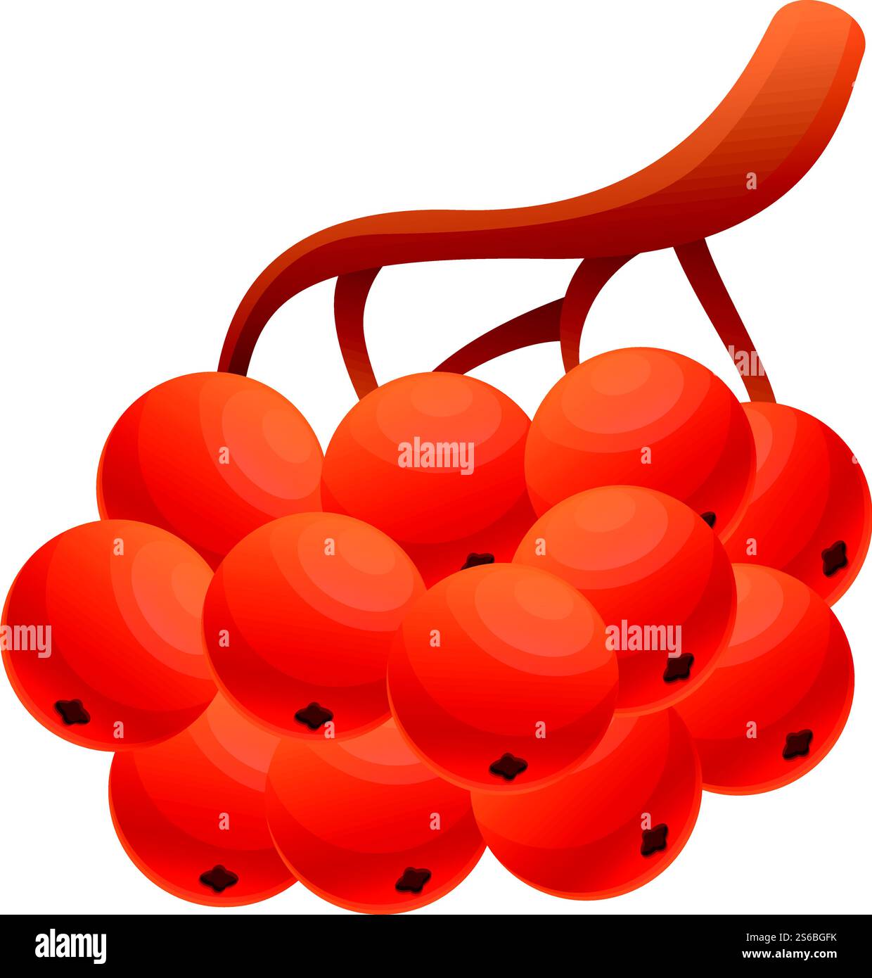 Icône de branche d'arbre Rowan. Dessin animé de l'icône de vecteur de branche d'arbre de rowan pour la conception de Web isolé sur fond blanc. Icône de branche d'arbre de Rowan, style de bande dessinée Illustration de Vecteur