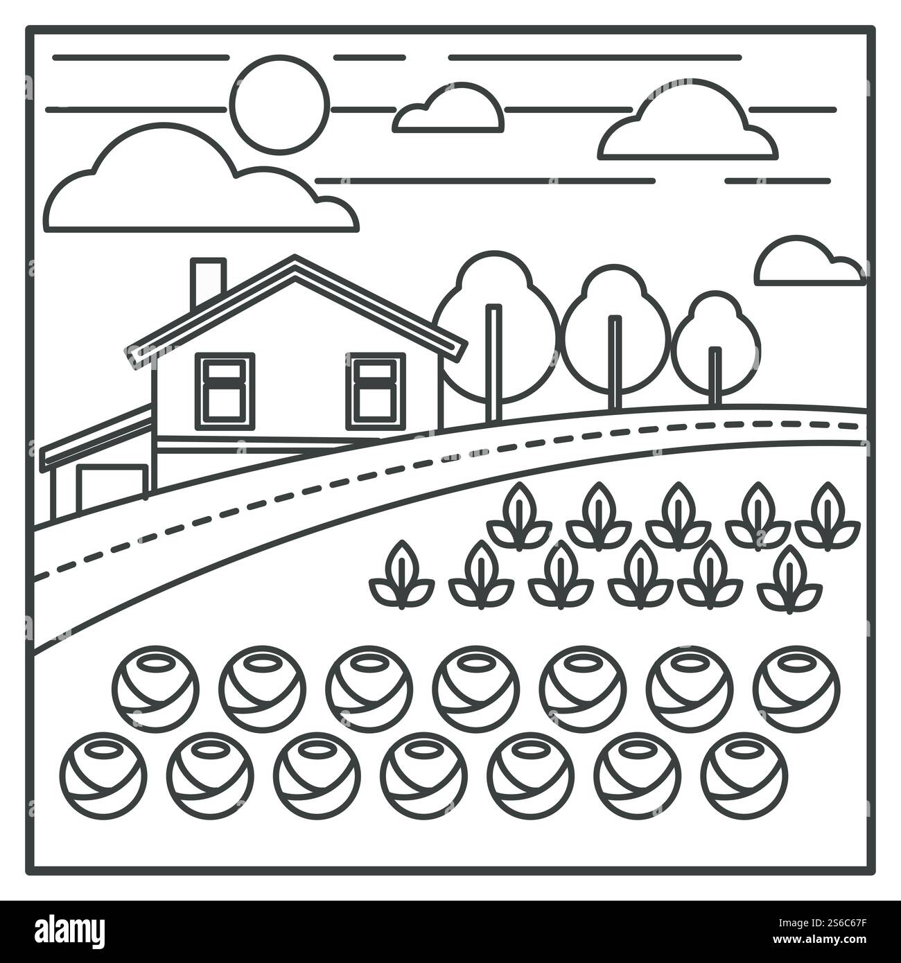 Agriculture et agriculture, maison de campagne et jardin de légumes vectoriel de dessin. Nourriture biologique, rangées de choux, campagne et terres agricoles. Construction de village et champ avec des plantes en croissance, récolte. Potager et maison de village, campagne et terres agricoles, agriculture Illustration de Vecteur