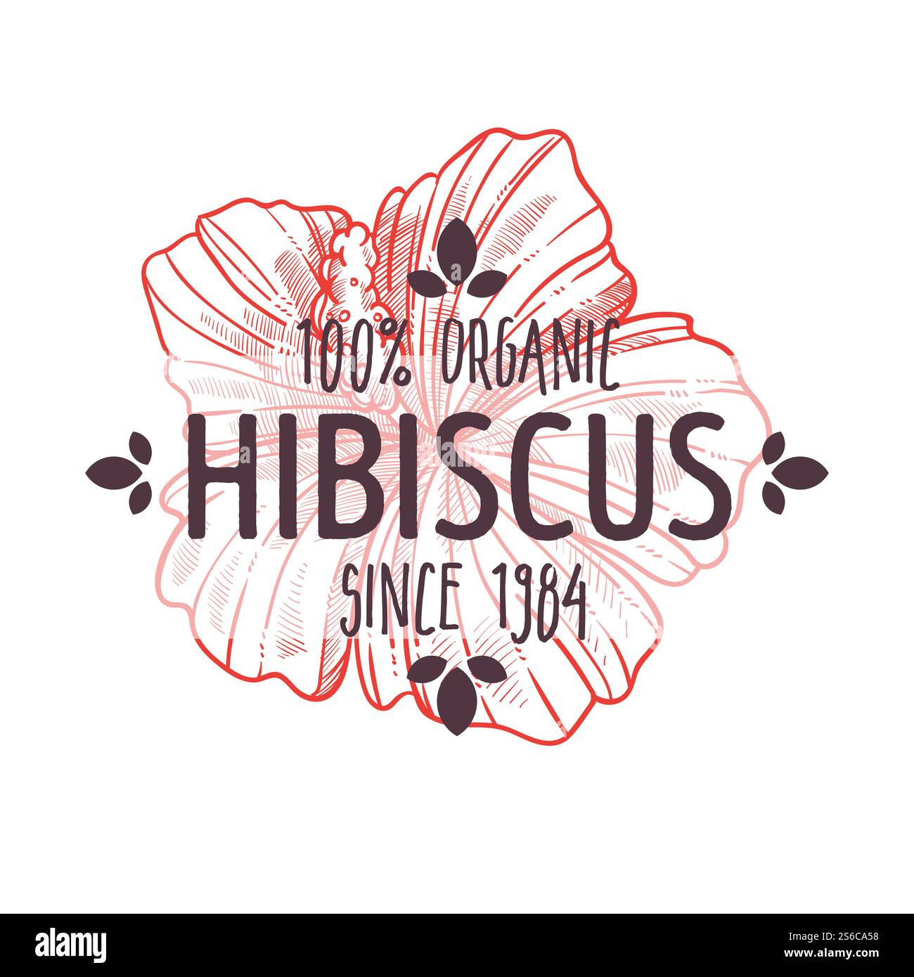 Fleur d'hibiscus en fleurs, herbe organique, icône isolée avec vecteur de lettrage. Plante tropicale exotique, espèce botanique ou ingrédient de cuisine, marché aux épices. Symbole hawaïen, élément de tisane. Herbe biologique, plante ou herbe d'hibiscus, icône isolée avec lettrage Illustration de Vecteur