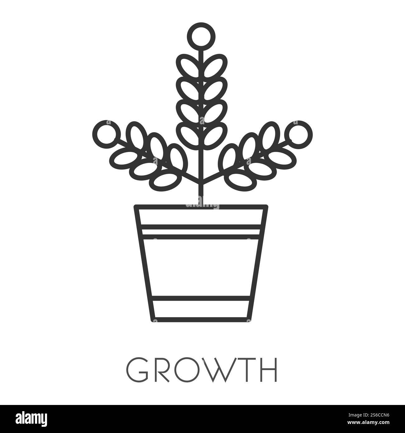 Icône isolée de croissance de revenu ou de profit, icône linéaire isolée d'augmentation ou de montée en hausse. Investissement progrès croissant, plante dans le pot avec le symbole des pièces de monnaie. Économies de trésorerie, planification budgétaire, performances commerciales. Icône isolée de croissance de l'argent, augmentation du revenu ou du profit Illustration de Vecteur
