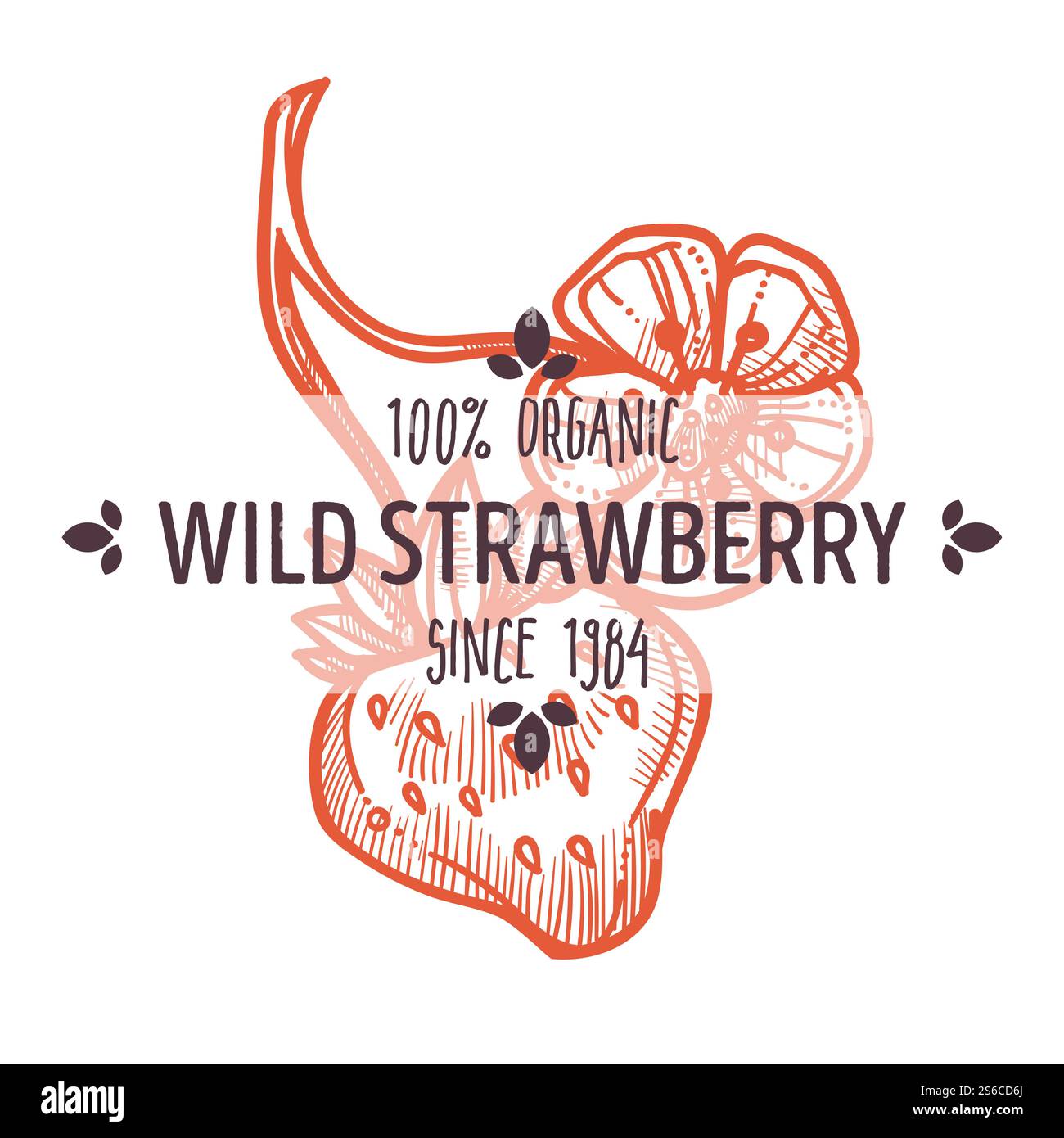 Fraise sauvage, ingrédient de tisane, icône isolée avec vecteur de lettrage. Baie et fleur, nourriture végétarienne ou élément cosmétique naturel. Jardin d'été ou herbe forestière, les agriculteurs commercialisent des produits. Ingrédient de tisane, icône isolée de fraise sauvage Illustration de Vecteur