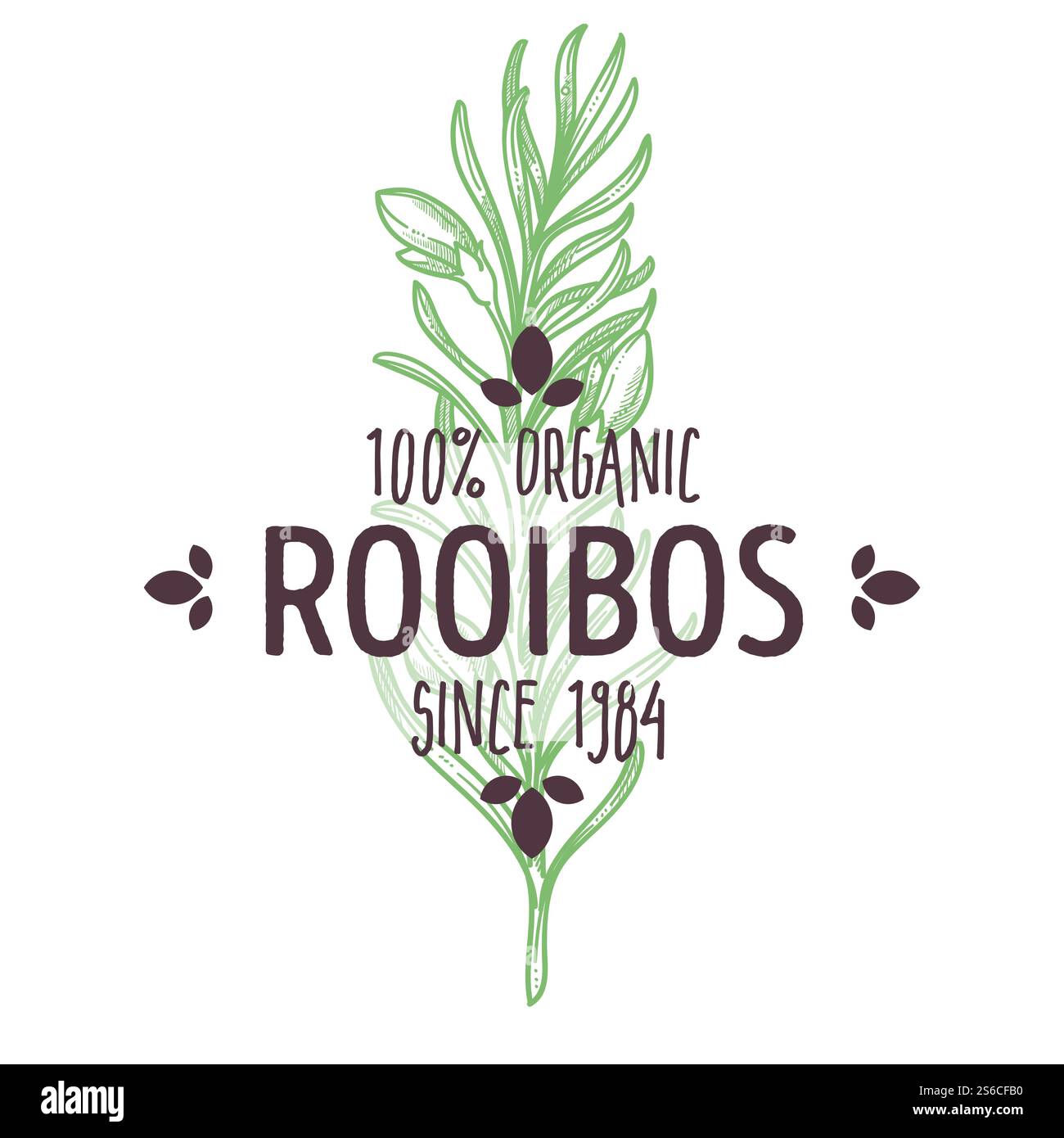 Rooibos, plante de thé à base de plantes, feuille sur branche, herbe organique, icône isolée avec vecteur de lettrage. Plante africaine, ingrédient de boisson chaude, fleurs ou fleurs, emblème ou logo. Épices ou produits du marché alimentaire agricole. Plante de tisane, branche de rooibos africain, icône isolée avec lettrage Illustration de Vecteur