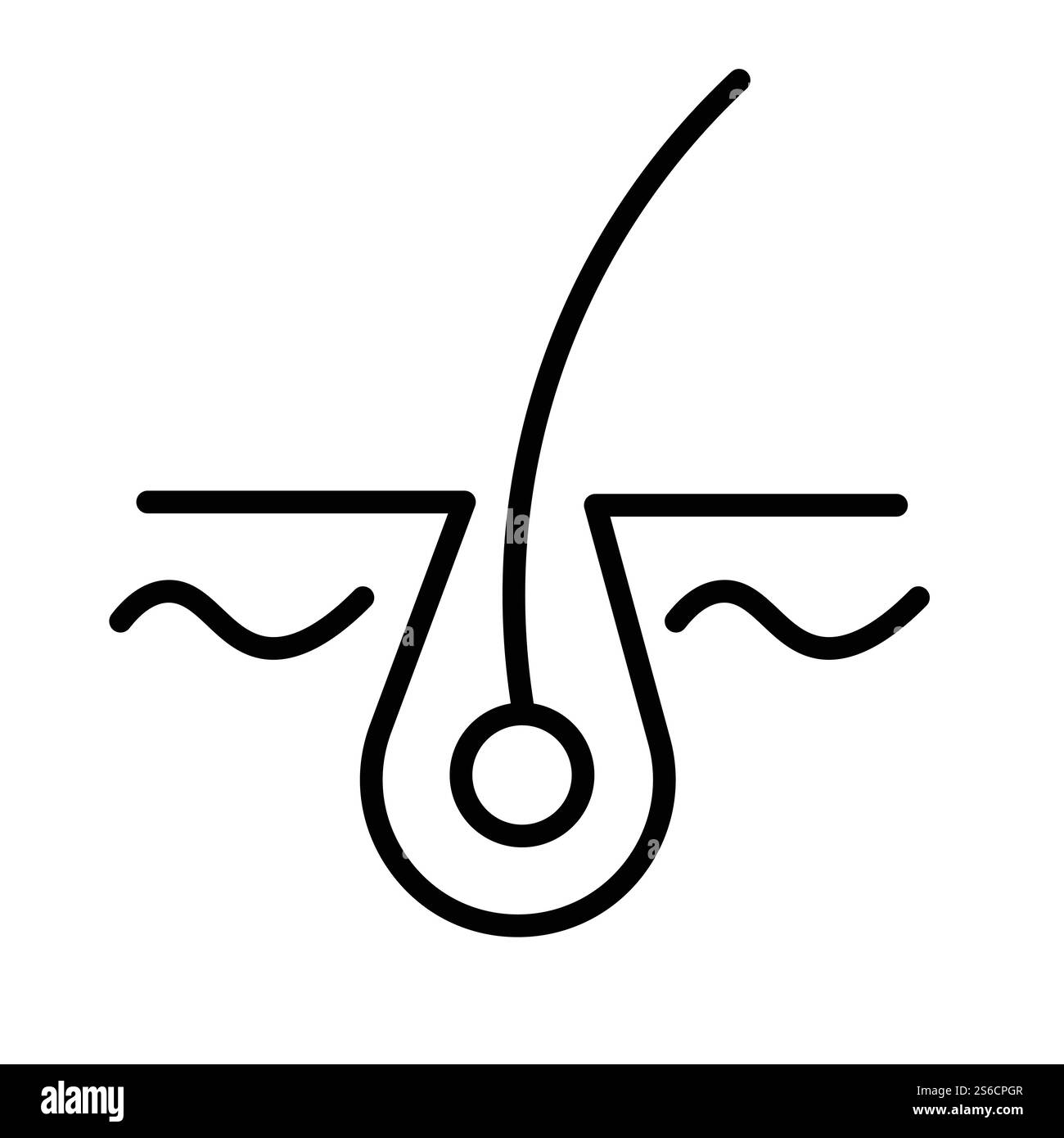 Follicule sain, structure du bulbe pileux, stimulant la croissance ou perte de coiffure, vecteur d'icône linéaire isolé. Symbole de contour de shampooing ou de lotion épilatoire. Traitement de la peau de la tête, épilation ou huile cosmétique. Structure du bulbe pileux, follicule sain et stimulation de la croissance, icône isolée Illustration de Vecteur