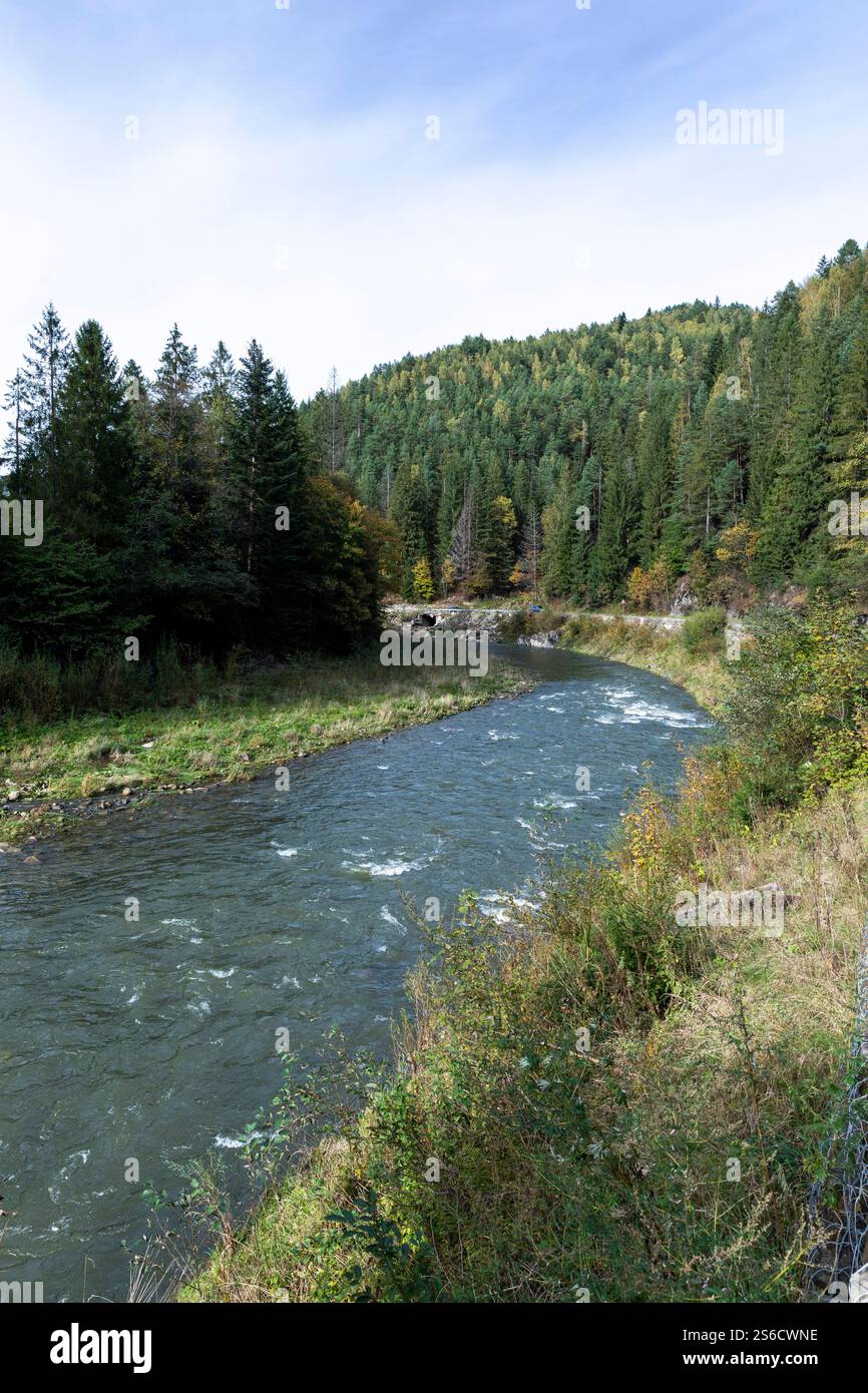 Rivière dans les montagnes des Carpates, Ukraine occidentale Banque D'Images