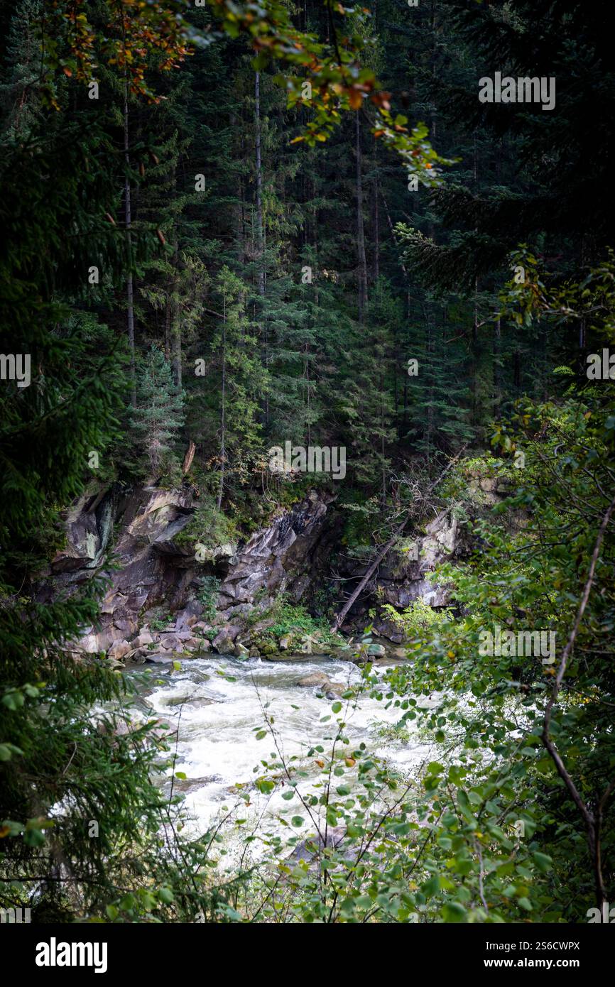 Rivière dans les montagnes des Carpates, Ukraine occidentale Banque D'Images