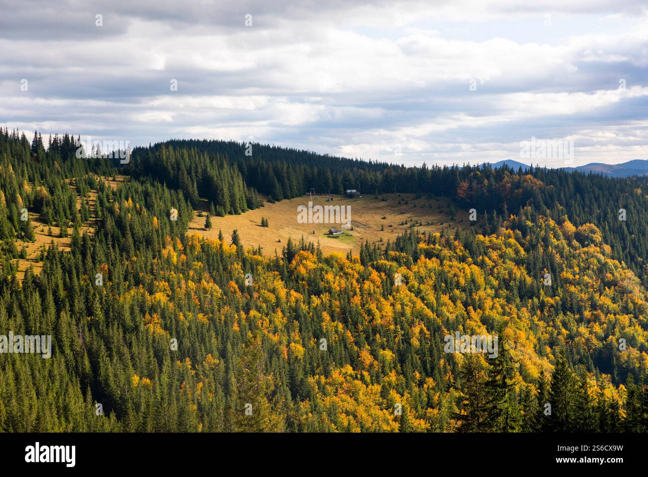 Montagnes et collines des Carpates dans l'ouest de l'Ukraine Banque D'Images