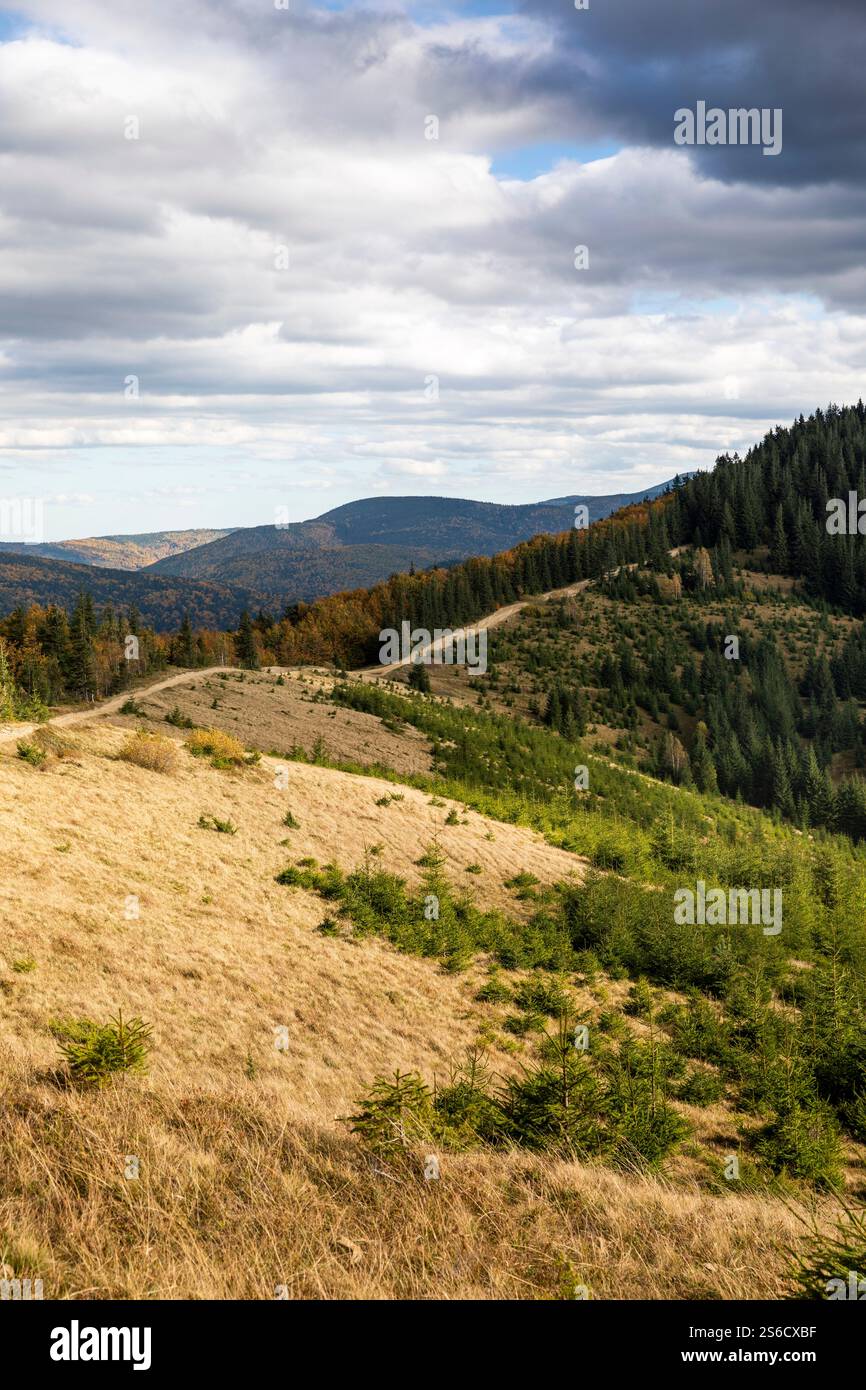Montagnes et collines des Carpates dans l'ouest de l'Ukraine Banque D'Images