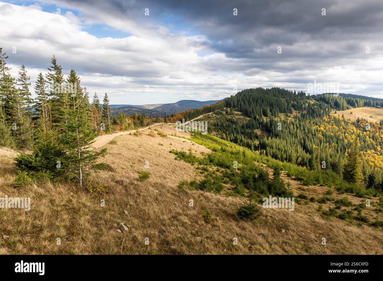 Montagnes et collines des Carpates dans l'ouest de l'Ukraine Banque D'Images
