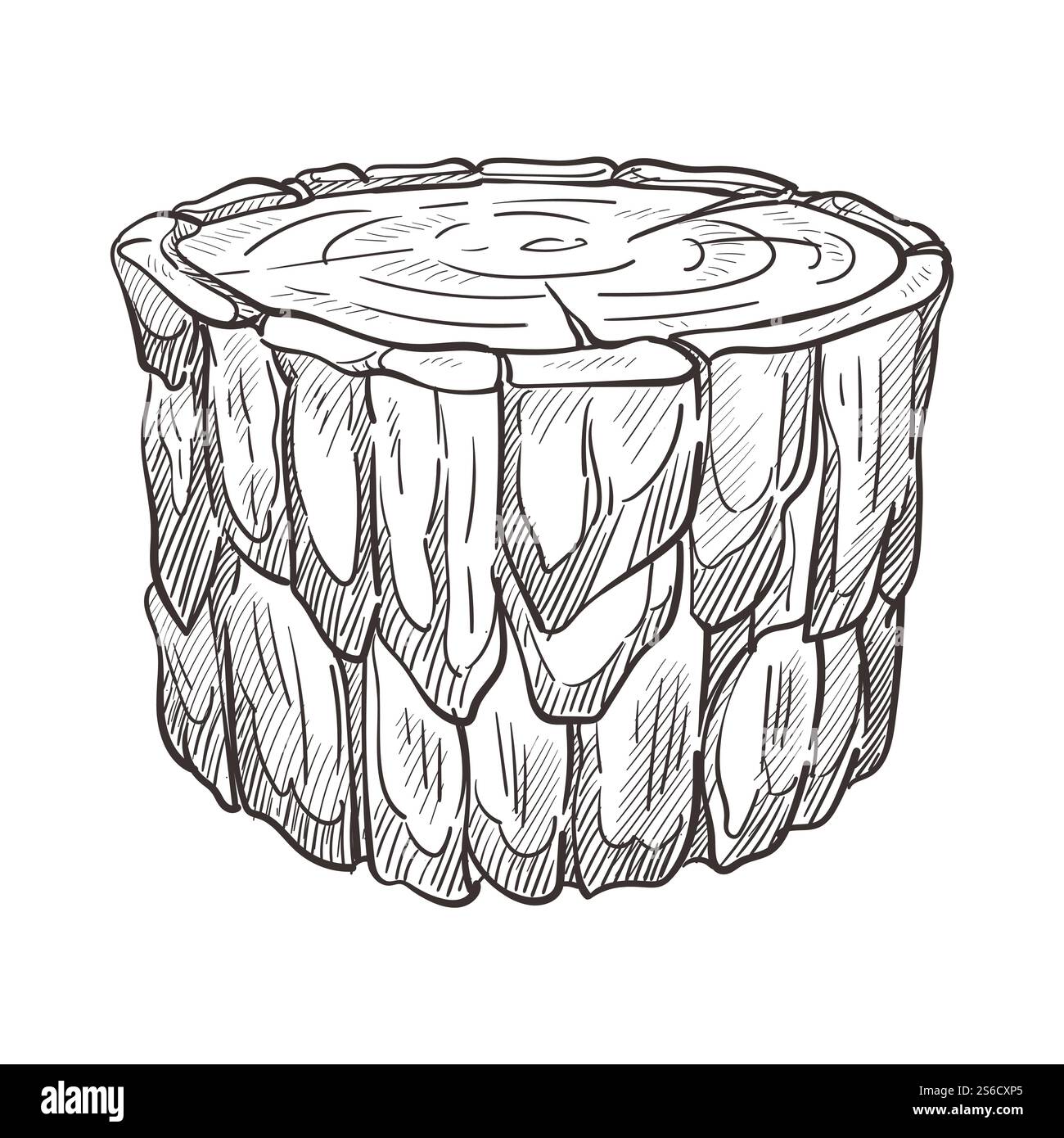 Souche de forêt ou morceau de bûche, bois et matériaux naturels en bois vecteur d'esquisse isolé. Construction et chauffage, partie de chêne ou de sapin, poutre ou bois. Section ronde en litière, construction et fabrication de meubles. Souche de forêt ou de bois, croquis isolé de matière première en bois Illustration de Vecteur