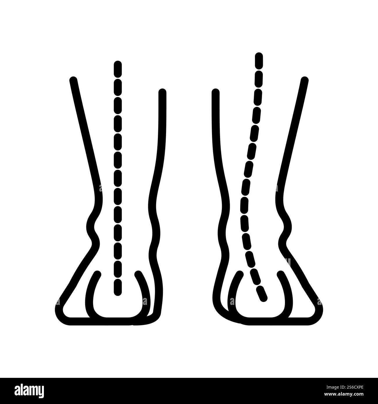 Anatomie des mouvements humaine Banque d'images noir et blanc - Alamy