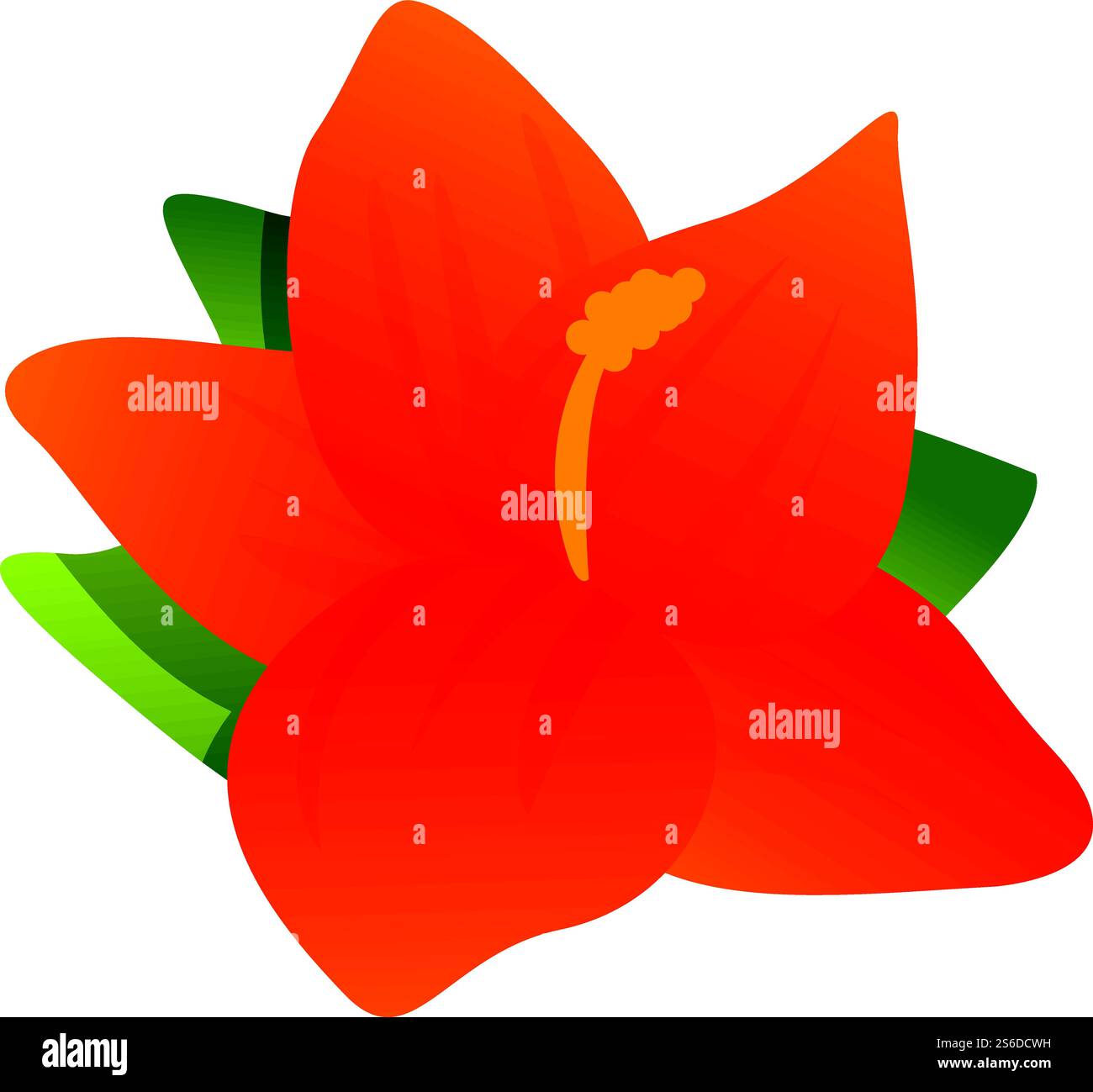 Icône d'hibiscus d'Hawaï. Dessin animé de hawaii hibiscus icône vectorielle pour la conception de Web isolé sur fond blanc. Icône Hawaii hibiscus, style de bande dessinée Illustration de Vecteur