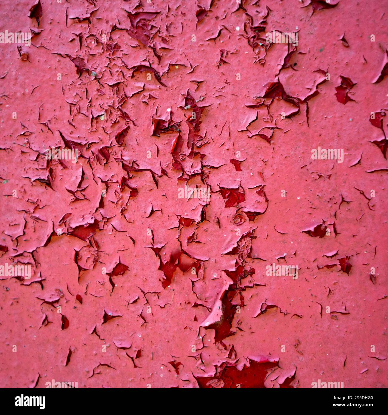 Un gros plan de peinture rouge pelable crée un motif texturé saisissant, idéal pour une utilisation comme élément de fond ou de design abstrait dans des projets créatifs. Banque D'Images