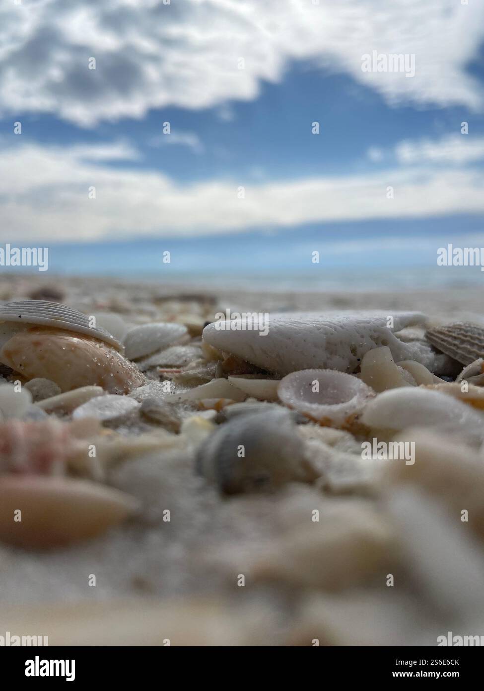 Laissé derrière pendant que les vagues roulent! - Image de stock capturée avec un smartphone