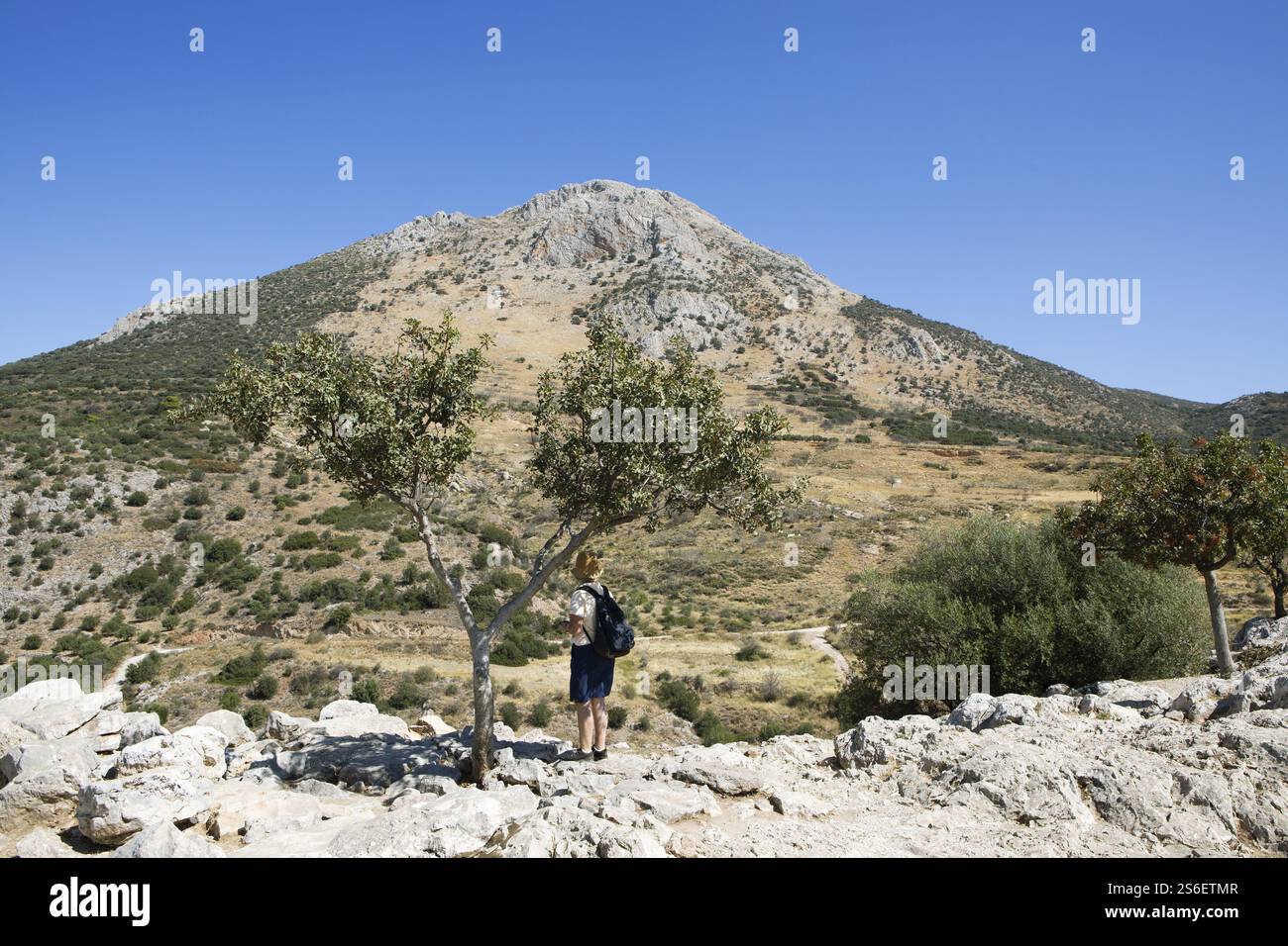 Femme debout sous un arbre regardant le paysage de la citadelle, Mycènes, site archéologique grec, Argolis, Péloponnèse, Grèce, Europe Banque D'Images