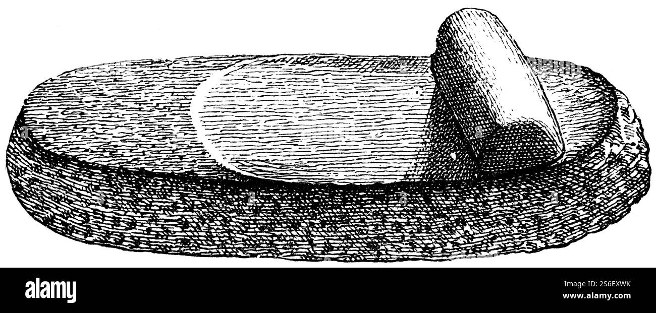 Moulin à main pour le grain à l'époque des habitations de pile préhistorique, rouleau de pierre de matériau et panneau de pierre, histoire de l'humanité, illustration historique 18 Banque D'Images