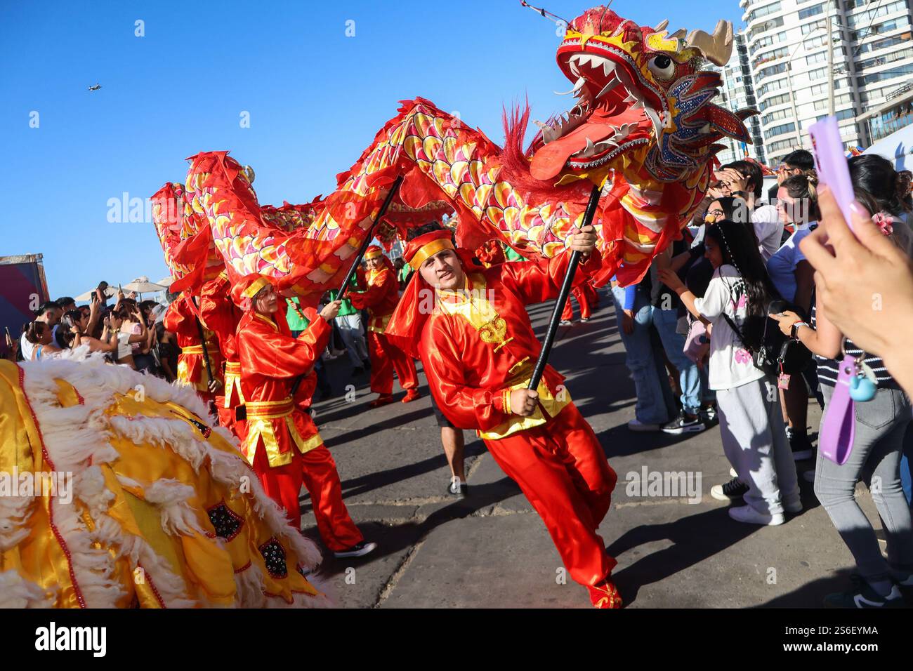 Les gens jouent un spectacle avec un dragon pendant la célébration du nouvel an chinois 2025. Célébration du nouvel an chinois 2025 à Vina del Mar Chili, a lieu le long de la côte avec des milliers de spectateurs. Crédit : SOPA images Limited/Alamy Live News Banque D'Images